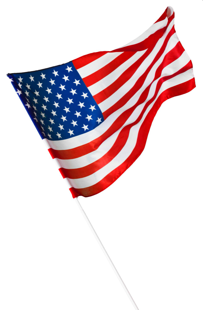 Expert Online Tutoring in Chicago